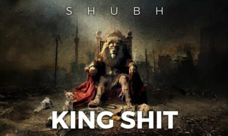 King Shit Lyrics - Shubh