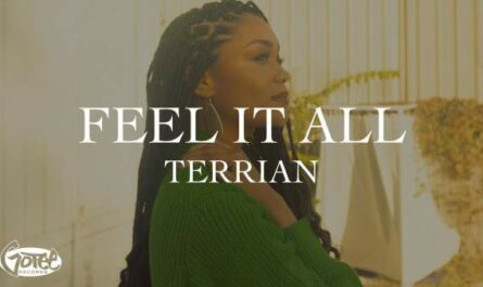 Feel It All Lyrics - Terrian