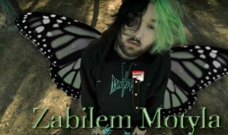 Zabiłem Motyla Lyrics - Chivas