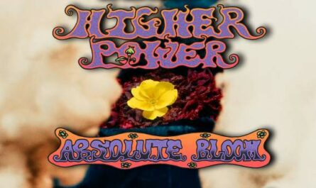 Absolute Bloom Lyrics - Higher Power