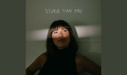 Stukje Van Mij Lyrics - MEAU