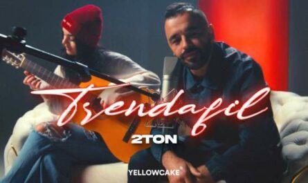 TRENDAFIL Lyrics - 2TON