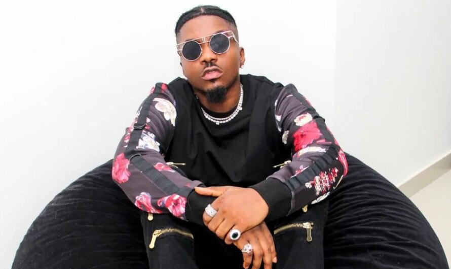 ‘I was ‘dashed’ fake Richard Millie watch’ – Singer Skiibii