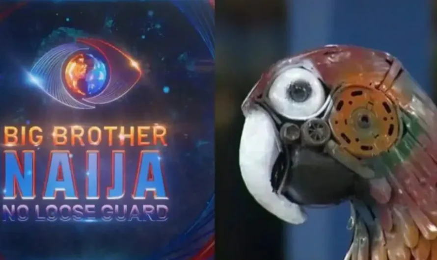 BBNaija S9: Parrot begs Biggie for freedom over housemates inactivity [VIDEO]